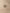 2694559