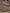 2693300