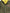 2743661