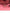 2676529