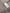 2748485