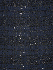 2658716