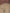 2718922