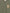 2743812
