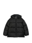 3034491 - Fendi | ERALDO