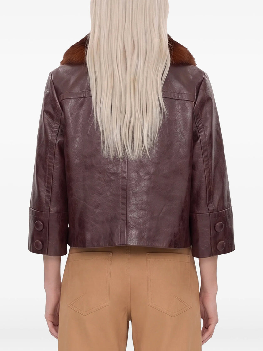 3062384 - Chloé | ERALDO