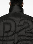3023628 - Dsquared2 | ERALDO