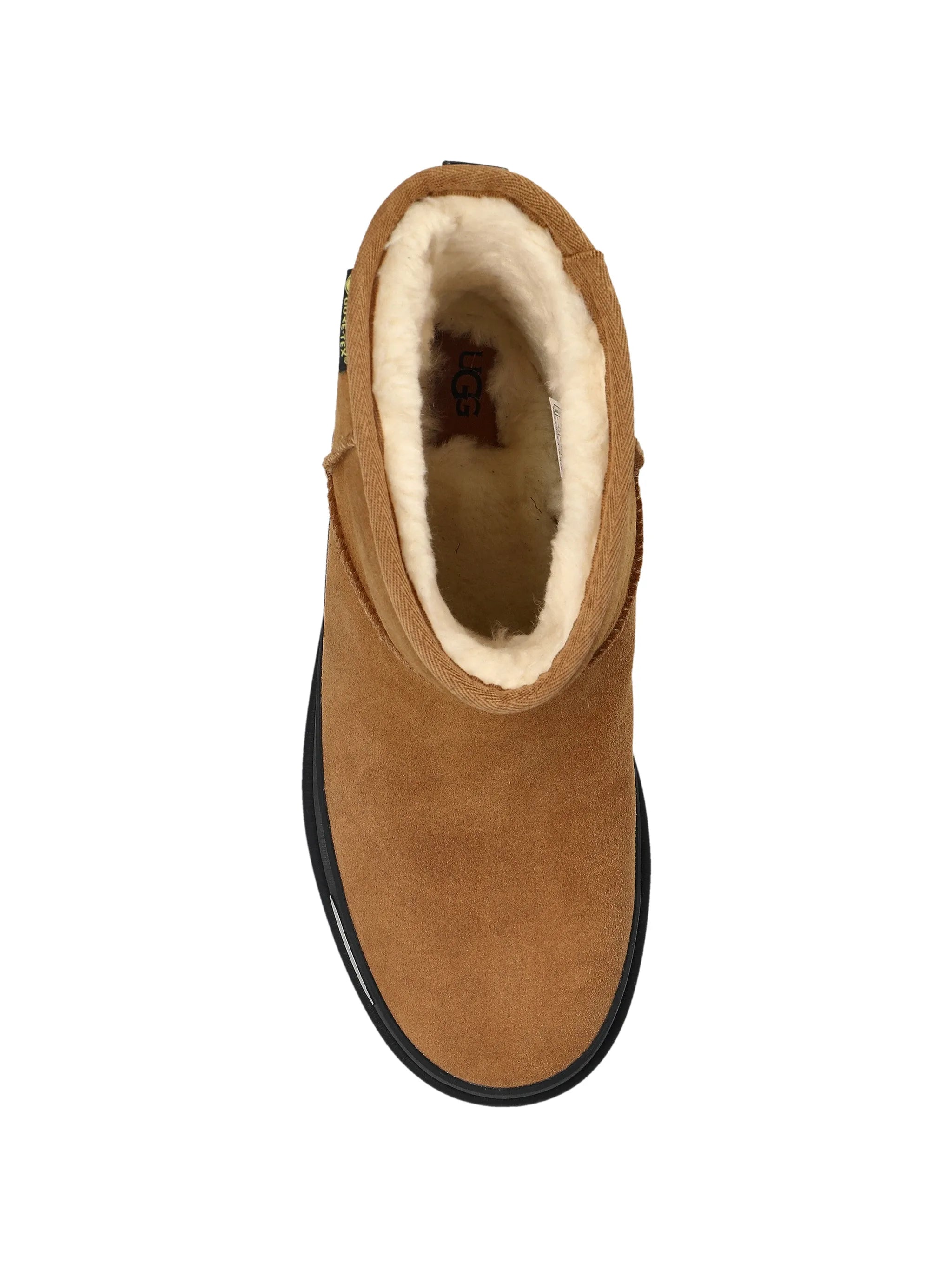 3079575 - Ugg | ERALDO