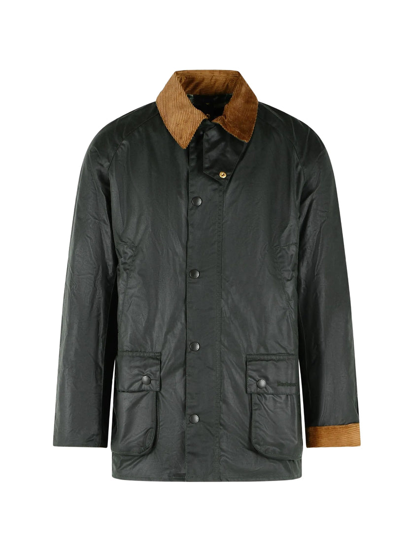 3084238 - Barbour | ERALDO