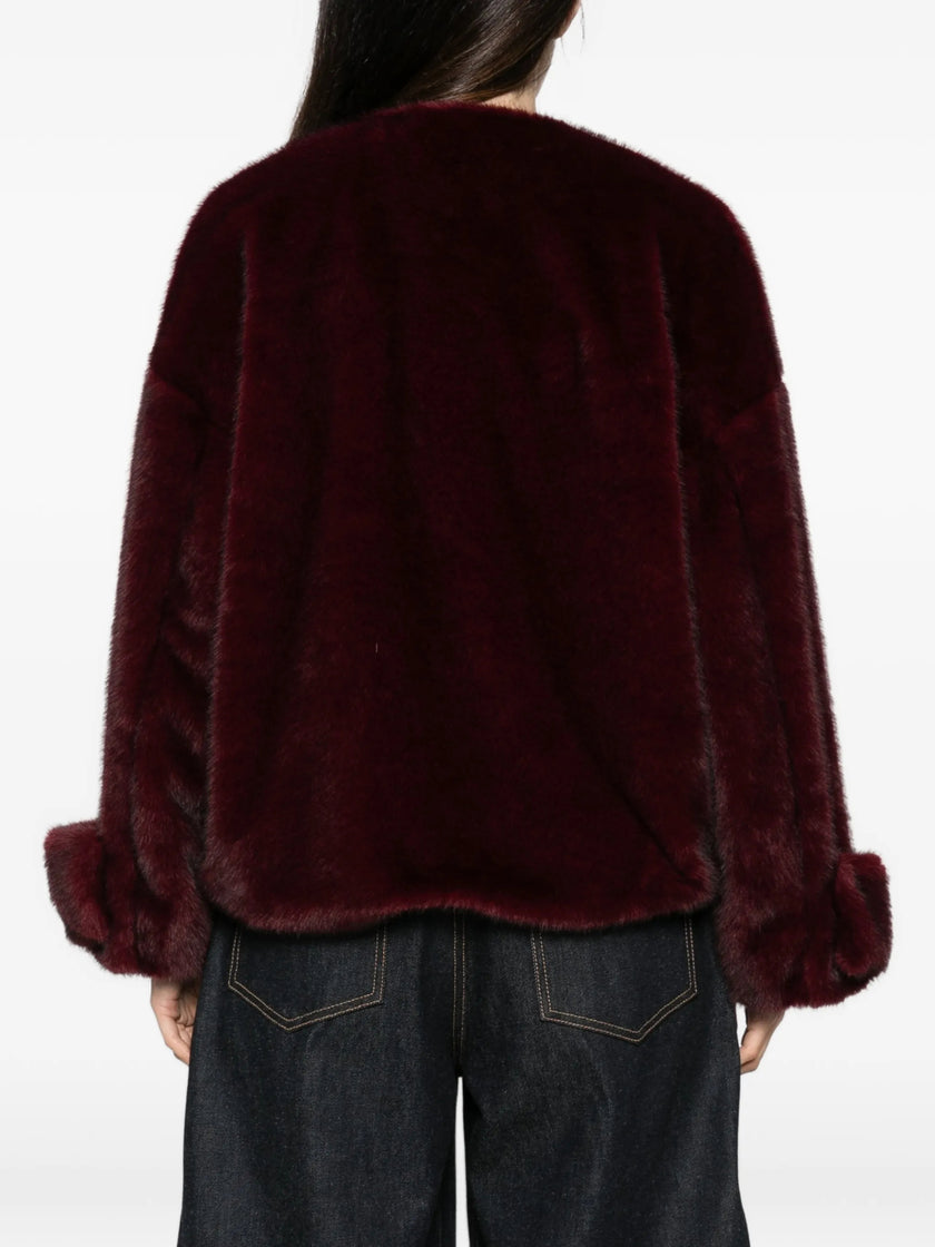 3083495 - Antonelli Firenze | ERALDO