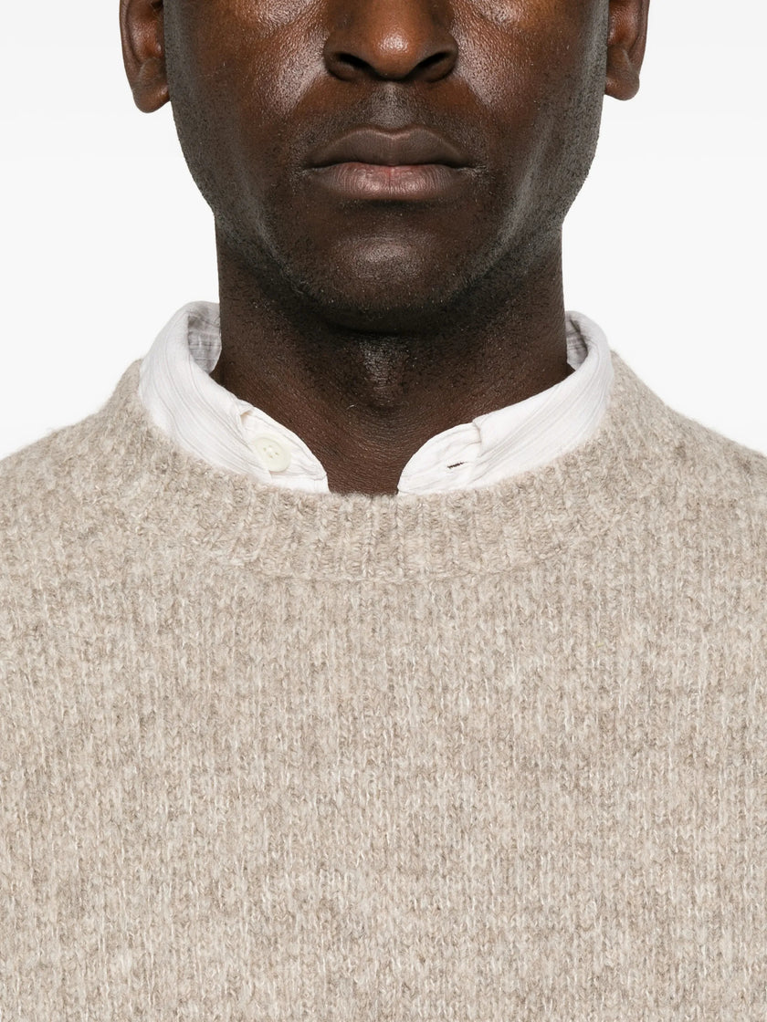 3073857 - Sunflower | ERALDO