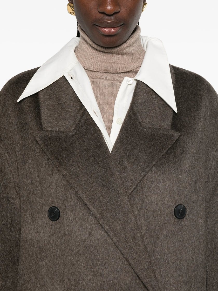 3023566 - The Dynamis Studio | ERALDO