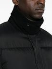 3074748 - Tonywack | ERALDO