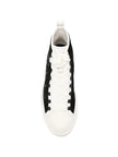 3040979 - Amiri | ERALDO