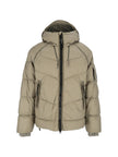 3084798 - C.p. Company | ERALDO