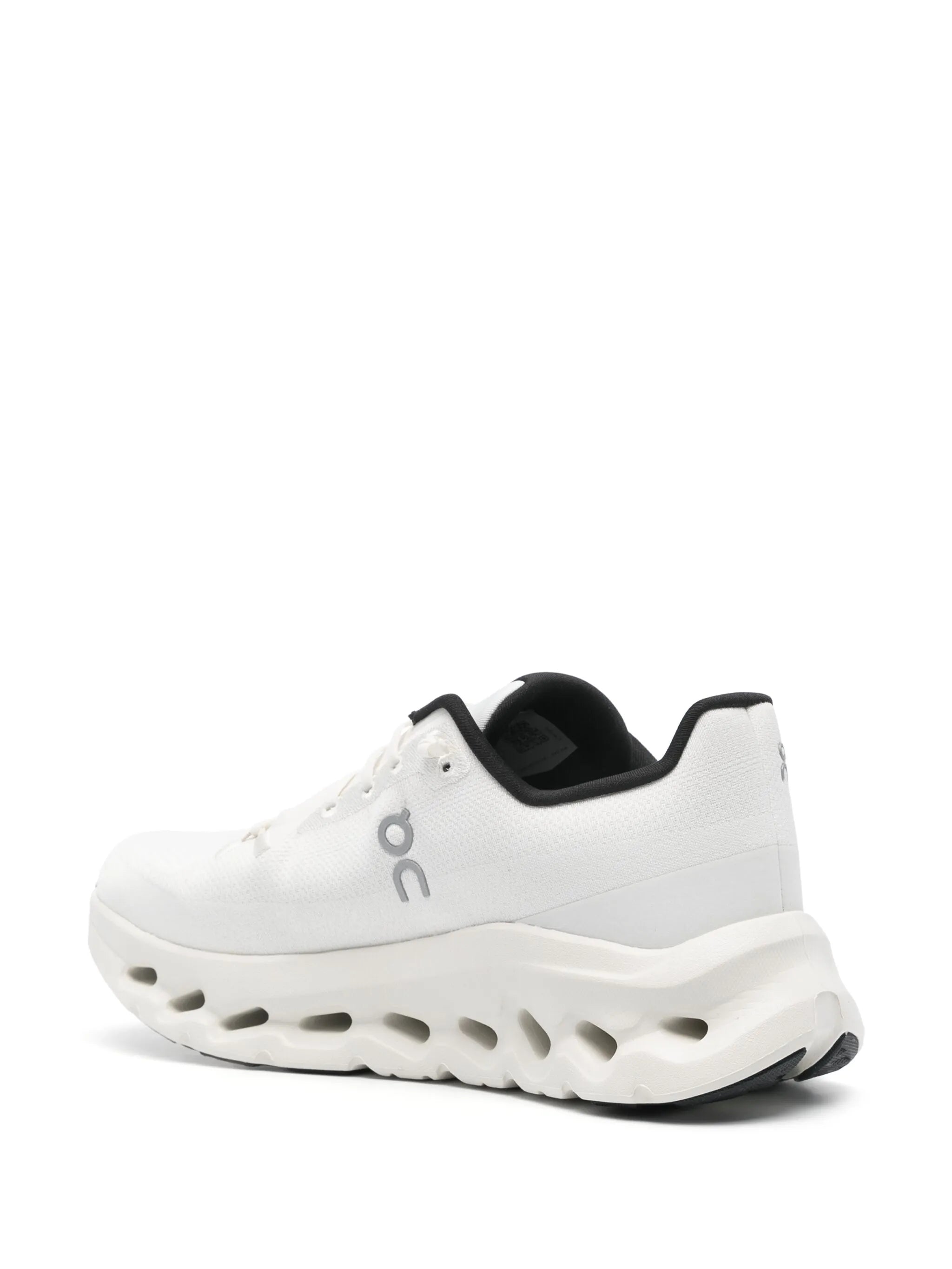 3019955